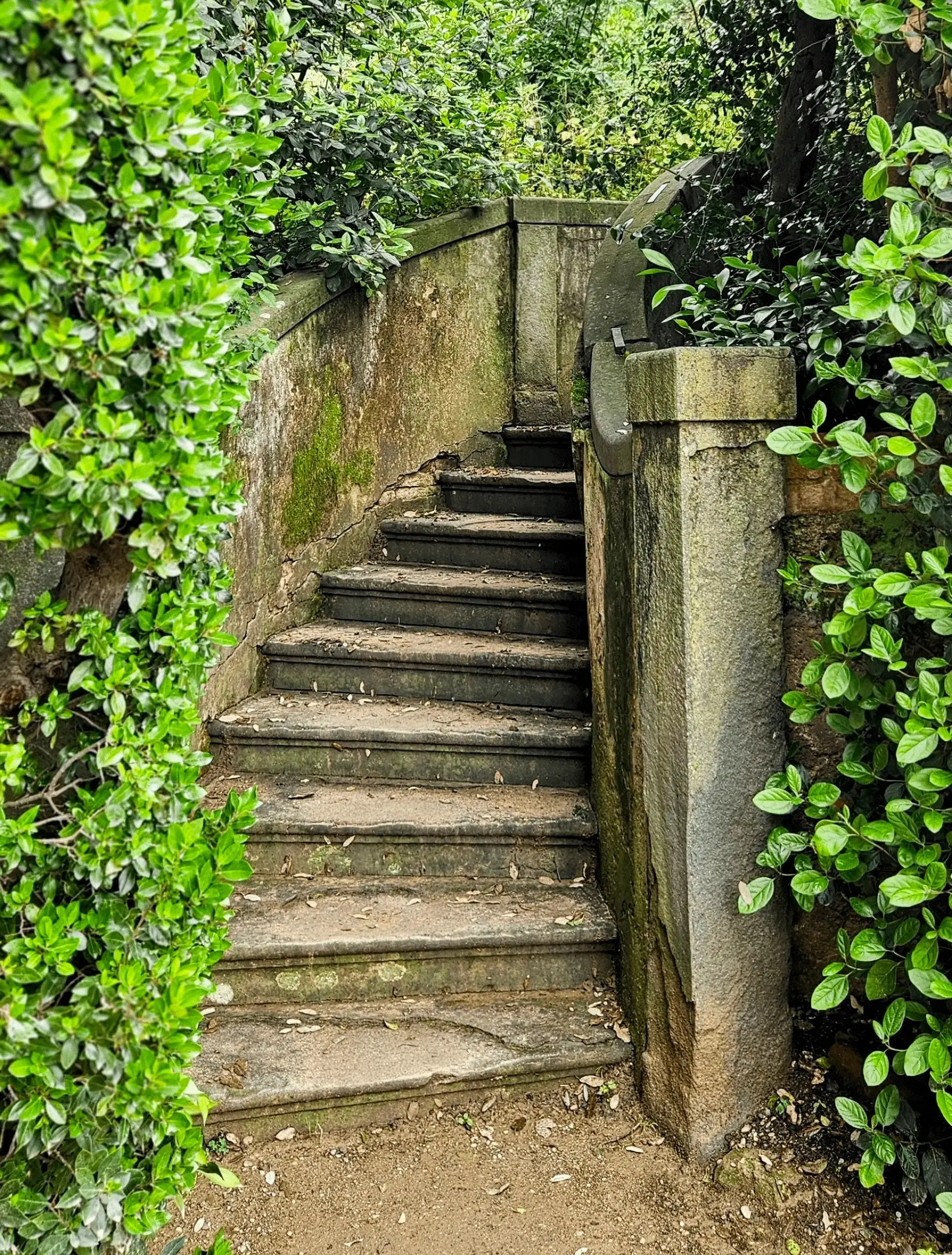 Escalier de pierre ancien s'élevant à travers une végétation dense, symbolisant le chemin de transformation intérieure VITRIOL.